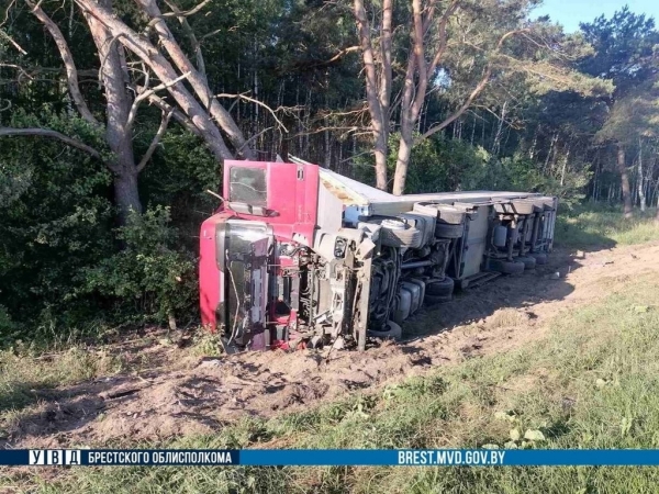 Всё из-за лося. На М1 под Брестом фура «ушла» в кювет Всё из-за лося. На М1 под Брестом фура «ушла» в кювет