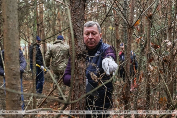Парк воинов-интернационалистов в Бресте продолжат благоустраивать и создавать новые локации
