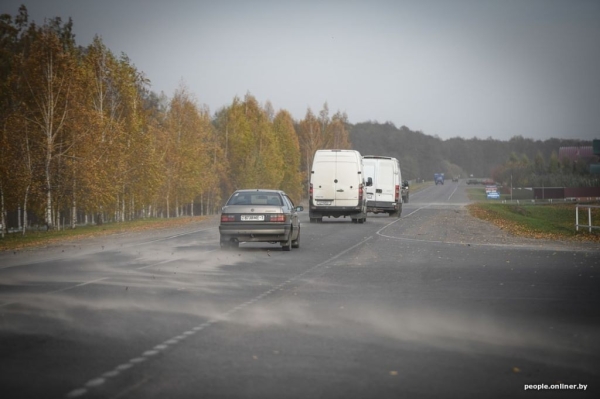 Буря в пустыне: как Полесье зарастает барханами Буря в пустыне: как Полесье зарастает барханами