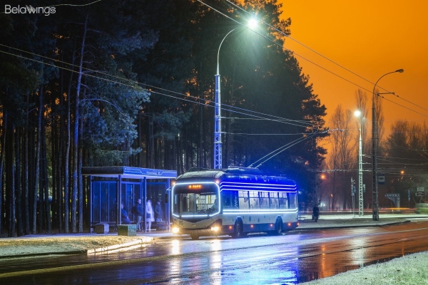 Читатель: Наш новогодний троллейбус в Бресте
Читатель: Наш новогодний троллейбус в Бресте
