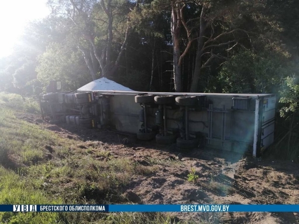 Всё из-за лося. На М1 под Брестом фура «ушла» в кювет Всё из-за лося. На М1 под Брестом фура «ушла» в кювет