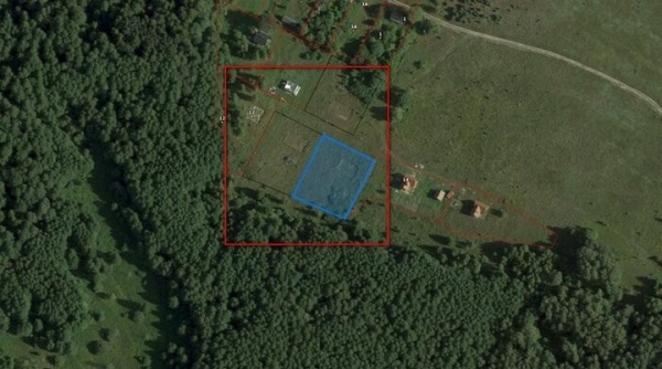 На торги выставили участки с незавершенкой прямо в Беловежской Пуще. Цены − от 300 долларов