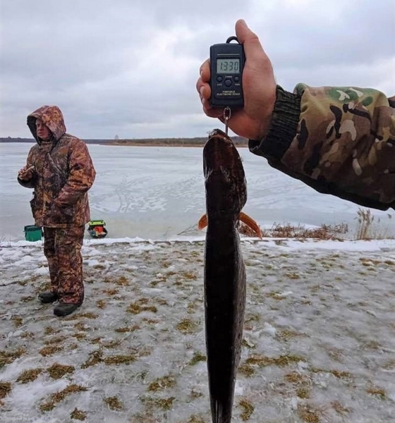 Зимняя рыбалка прошла в Беловежской пуще. Кто стал чемпионом? Зимняя рыбалка прошла в Беловежской пуще. Кто стал чемпионом?