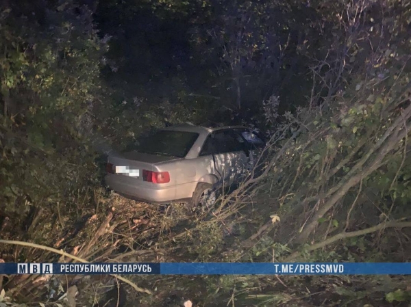 В Брестской области сбитого автомобилем KIA лося отбросило на Audi – двое погибших В Брестской области сбитого автомобилем KIA лося отбросило на Audi – двое погибших