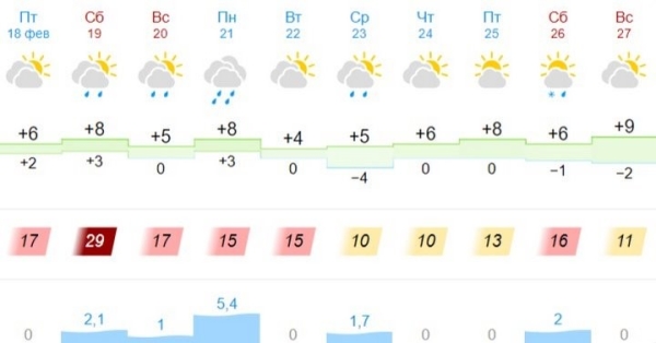 Штормовое предупреждение объявлено в Брестской области и Бресте 19 февраля