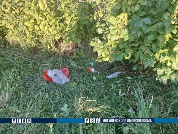 Под Могилевом трактор, косивший траву, зацепил нетрезвую женщину, которая находилась в кювете Под Могилевом трактор, косивший траву, зацепил нетрезвую женщину, которая находилась в кювете