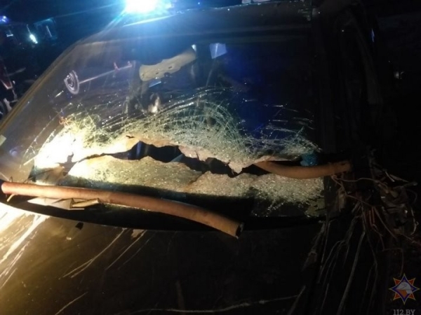 ДТП в Дрогичинском районе: работники МЧС спасли водителя легковушки ДТП в Дрогичинском районе: работники МЧС спасли водителя легковушки