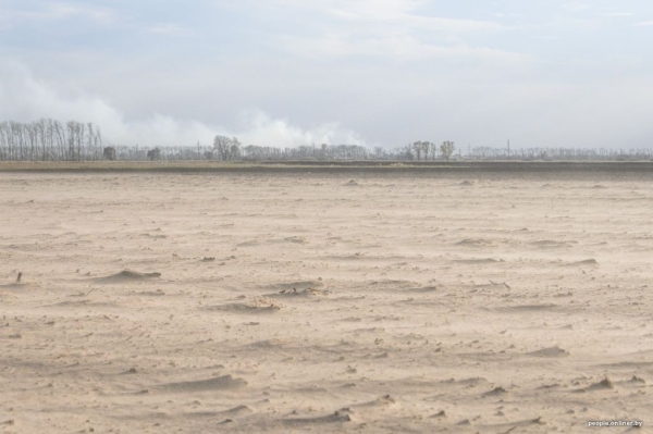 Буря в пустыне: как Полесье зарастает барханами Буря в пустыне: как Полесье зарастает барханами