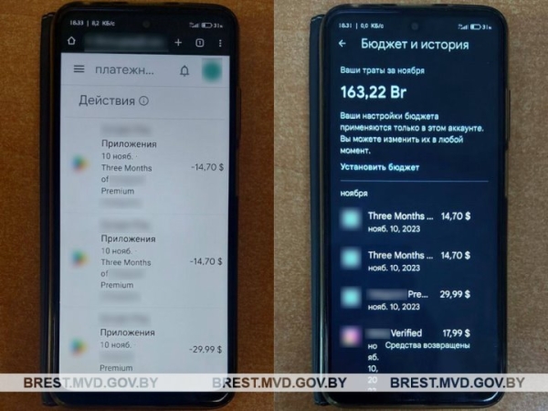 Брестчанин потратил деньги своего коллеги на онлайн-игры