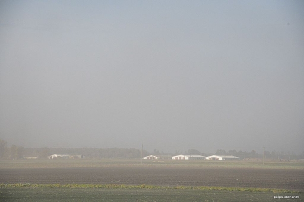 Буря в пустыне: как Полесье зарастает барханами Буря в пустыне: как Полесье зарастает барханами