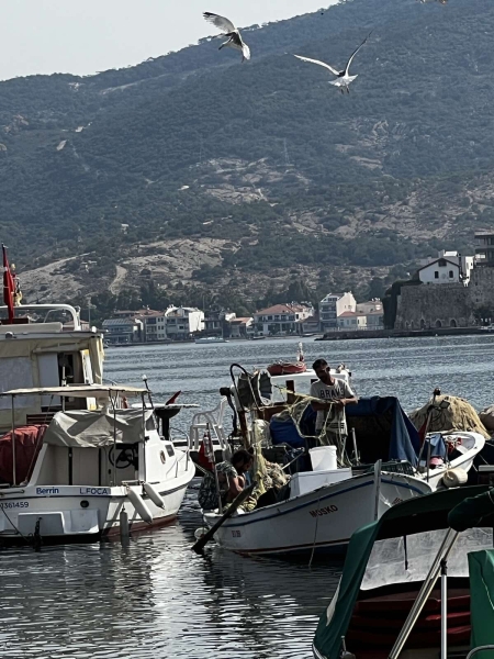 В Турцию через Европу на автомобиле. Белорусы о затратах на топливо и нюансах поездки В Турцию через Европу на автомобиле. Белорусы о затратах на топливо и нюансах поездки