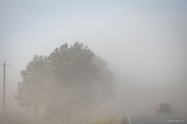 Буря в пустыне: как Полесье зарастает барханами Буря в пустыне: как Полесье зарастает барханами