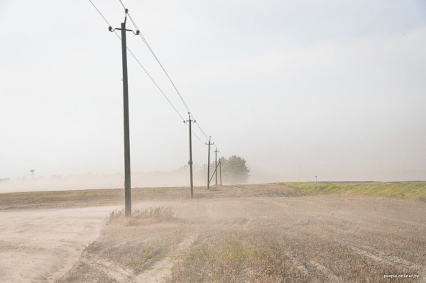 Буря в пустыне: как Полесье зарастает барханами Буря в пустыне: как Полесье зарастает барханами